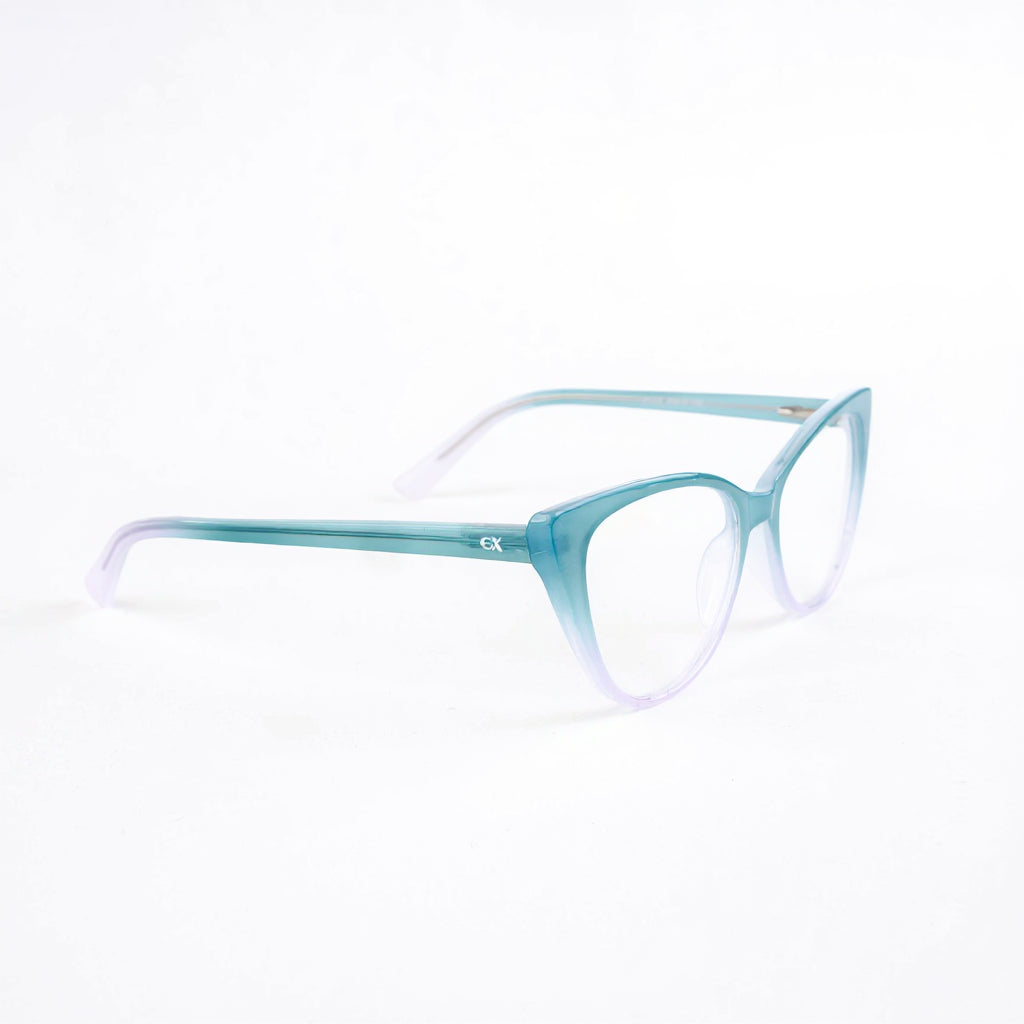 0019 Montura Pasta Inyectada Flex