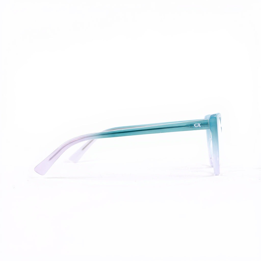 0019 Montura Pasta Inyectada Flex