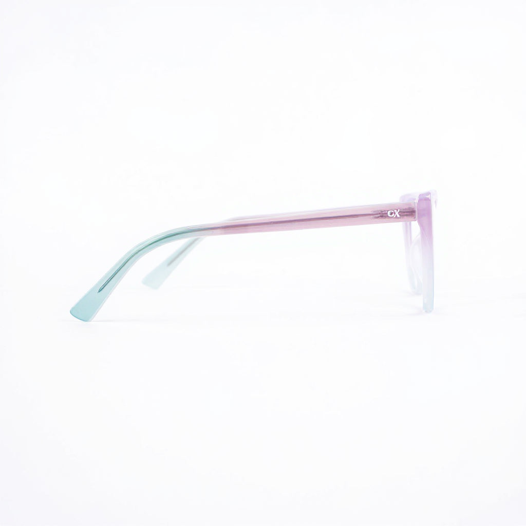 0019 Montura Pasta Inyectada Flex