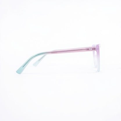 0019 Montura Pasta Inyectada Flex