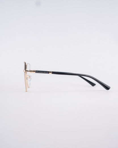 0058 Aros Opticos Metal