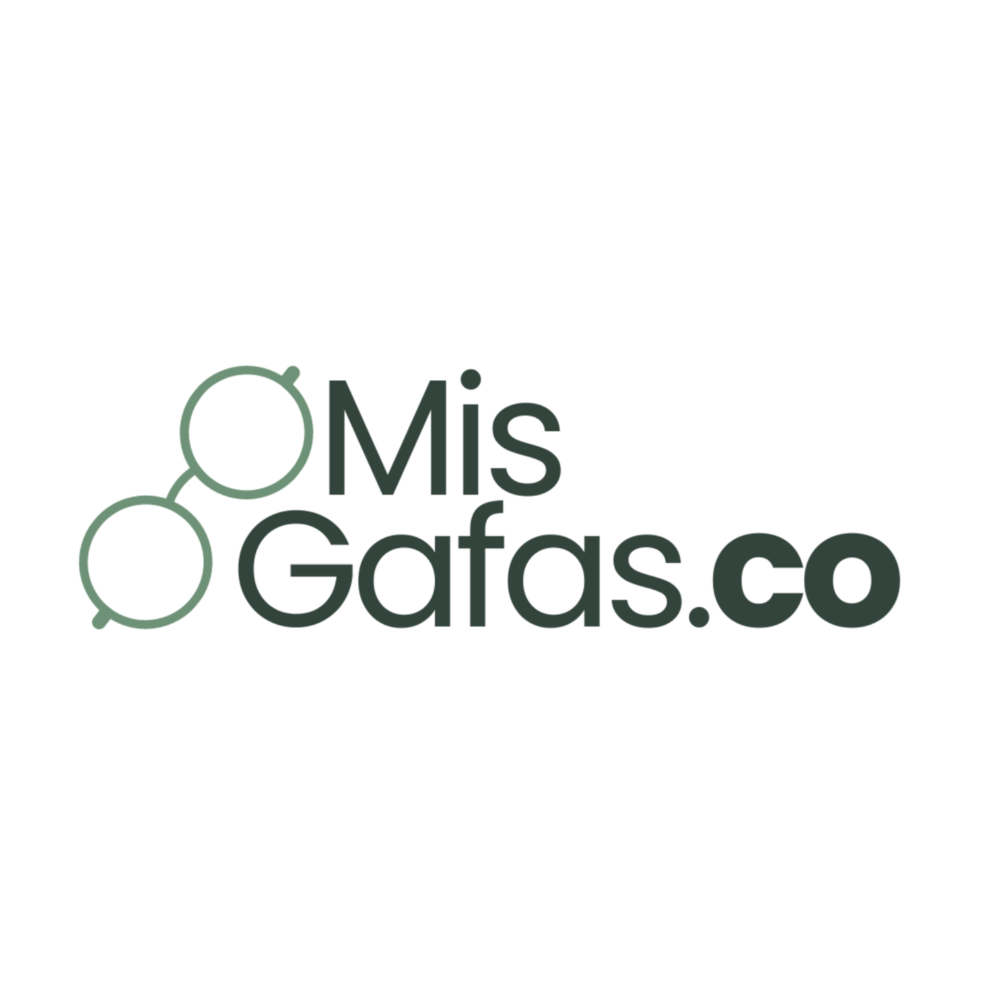 0051 Aros Opticos Metal